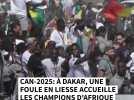 CAN : les joueurs de l'équipe de football sénégalaise accueillis en héros à Dakar