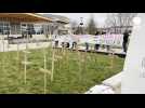 VIDÉO. Ils plantent 58 croix en bois devant la mairie de Laval pour dénoncer le manque de moyens en psychiatrie