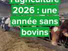 Salon de l'agriculture sans bovins : décision logique pour les éleveurs