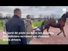 VIDEO. Reportage. Dans les pas de la police des courses et des jeux à l'hippodrome d'Angers