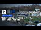 À Villeneuve-d'Ascq, les riverains de la friche de l'IUT A sont à bout de nerfs