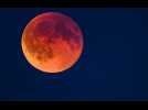 Une Lune rouge spectaculaire attendue le 3 mars