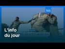 L'info du jour | 2 mars 2026 - Matin