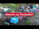 VIDÉO. Nature ou Poubelle? Les dépôts sauvages se multiplient en Pays de la Loire