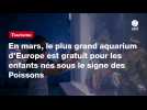 VIDEO. En mars, le plus grand aquarium d'Europe est gratuit pour les enfants nés sous le signe des Poissons