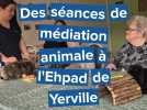 Yerville : la médiation animale apporte douceur et souvenirs aux résidents de l'EHPAD