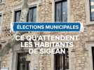 Municipales 2026 : les attentes des habitants de Sigean