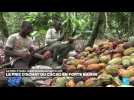 Crise du cacao : la Côte d'Ivoire réduit drastiquement le prix d'achat aux planteurs