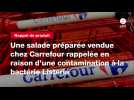 VIDEO. Une salade préparée vendue chez Carrefour rappelée en raison d'une contamination à la bactérie Listeria