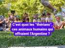 C'est quoi les "thérians", ces animaux-humains qui effraient l'Argentine ?