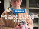 Son pigeon a été nommé super champion de France