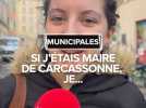 Municipales : si j'étais maire de Carcassonne, je...