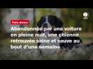 VIDÉO. Abandonnée par une voiture en pleine nuit, une chienne retrouvée saine et sauve au bout d'une semaine
