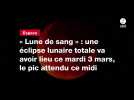 VIDÉO. « Lune de sang » : une éclipse lunaire totale va avoir lieu ce mardi 3 mars, le pic attendu ce midi