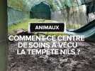 Lot-et-Garonne : comment ce centre de soins pour animaux a vécu la tempête Nils