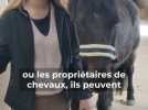 Avoir 20 ans dans le Morvan - Le bonheur est dans le pré avec ses poneys : Charlotte Martin fait sa vie dans la ferme familiale à Saint-Agnan