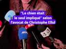 "Le chien était le seul impliqué" selon l'avocat de Christophe Ellul