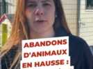 Animaux - Menaces de mort sur les agents, hausse des abandons sauvages et des maltraitances : la fourrière animale du Loiret sonne l'alarme