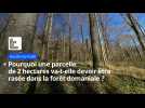 Pourquoi une parcelle de 2 hectares va-t-elle devoir être rasée en forêt d'Hesdin ?