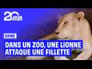 Une lionne s'attaque à une enfant de 10 ans qui tentait de lui donner à manger dans un zoo en Chine