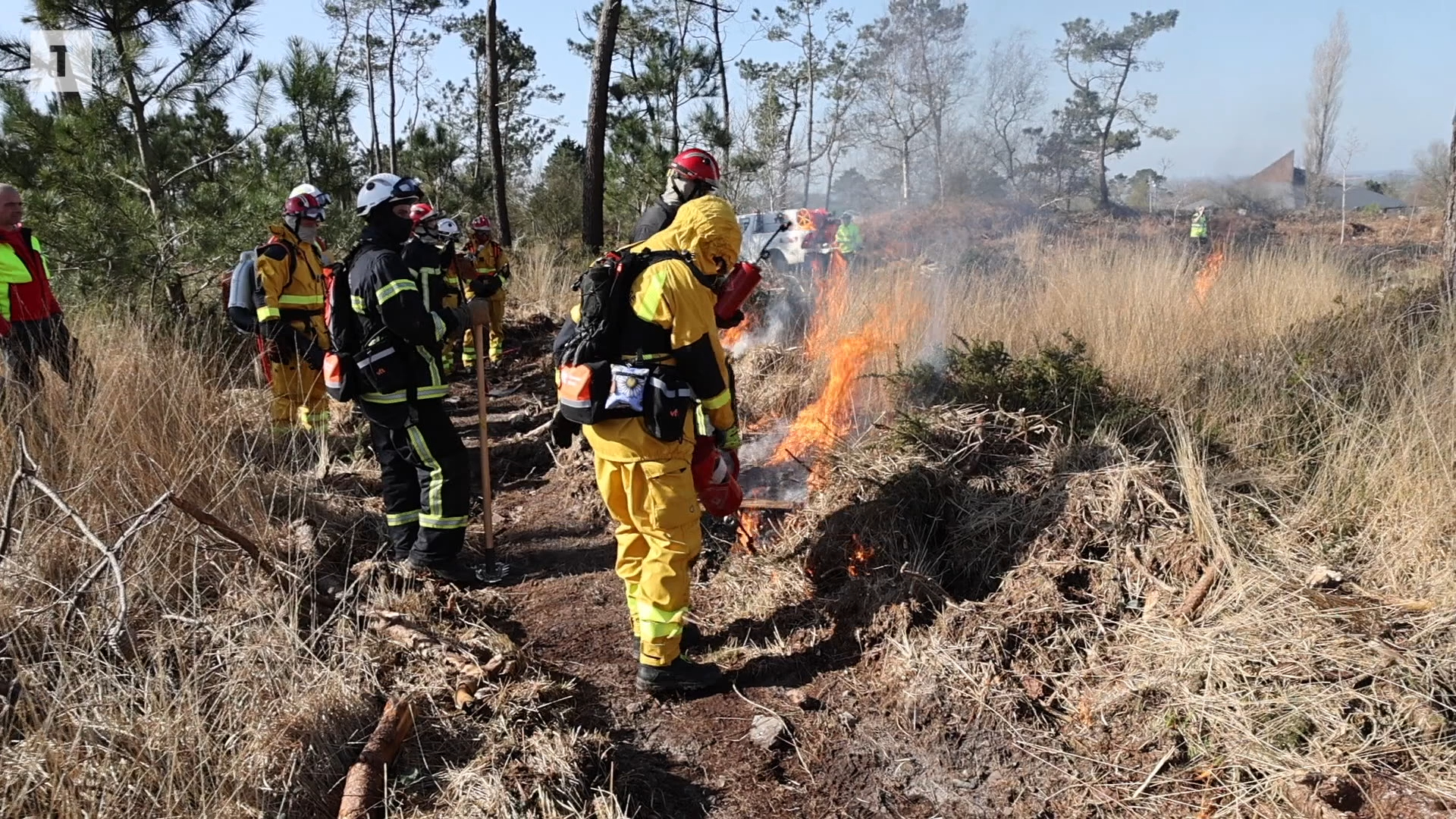 Une première opération de brûlage dirigé en Bretagne pour limiter les risques de feux de forêts [Vidéo]