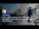 Affaire Curtis : avocat de Christophe Ellul
