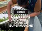 De la serre au chariot dans ce supermarché du Tarn-et-Garonne