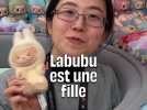Le Labubu fête ses 10 ans... Connaissez-vous son histoire ?