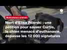 VIDEO. Mort d'Elisa Pilarski : une pétition pour sauver Curtis, le chien menacé d'euthanasie, dépasse les 12 000 signatures
