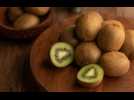 Quels sont les bienfaits du kiwi ?