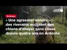 VIDEO. « Une agression sonore » : des riverains accusent des chiens d'aboyer sans cesse depuis quatre ans en Ardèche