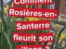 Comment Rosières-en-Santerre fleurit son village ?