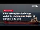 VIDEO. Moyen-Orient : l'industrie pétrochimique réduit la cadence au Japon et en Corée du Sud