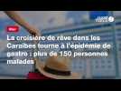 VIDEO. La croisière de rêve dans les Caraïbes tourne à l'épidémie de gastro : plus de 150 personnes malades