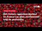 VIDEO. Des fraises rappelées partout en France car elles contiennent trop de pesticides