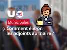 Municipales 2026. Les adjoints au maire : Comment sont-ils désignés ? Combien sont-ils ?