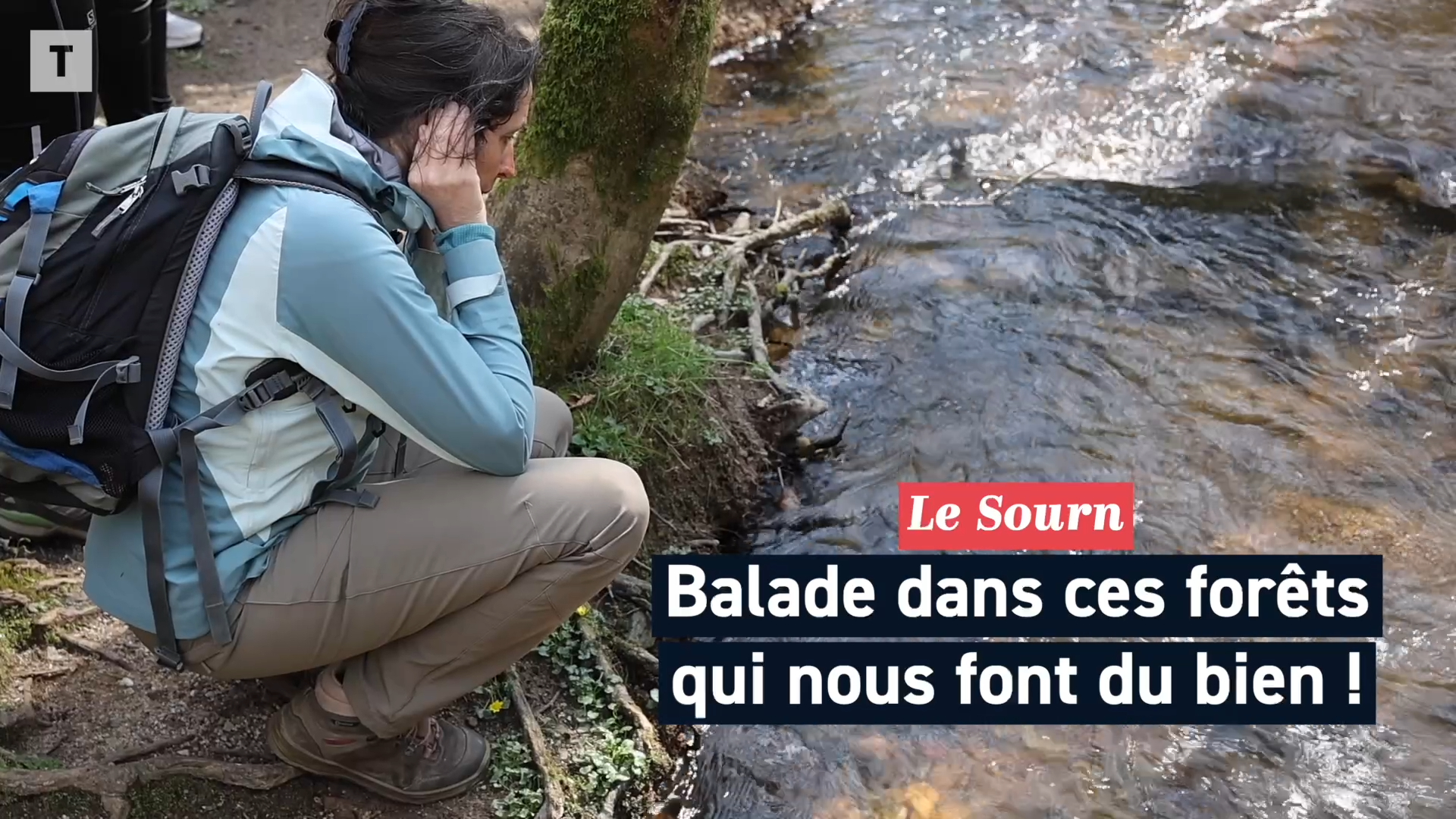 « Au Japon, cette thérapie de santé est reconnue depuis 1982 » : on a testé le « bain de forêt » du côté de Pontivy