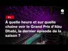 VIDÉO. F1. À quelle heure et sur quelle chaîne voir le Grand Prix d'Abu Dhabi, le dernier épisode de la saison ?
