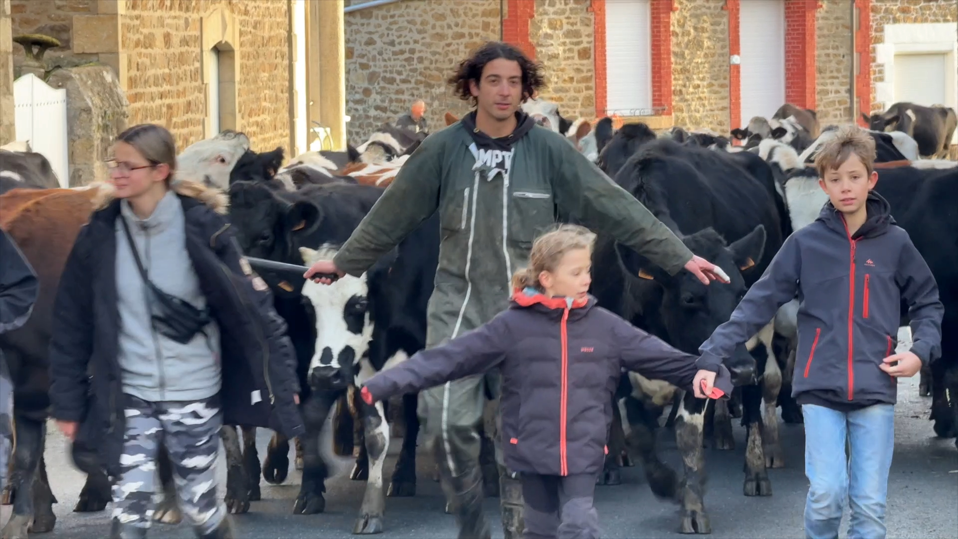 « Vu le peu d'éleveurs qu'il reste en France, ça vaut bien un pèlerinage » : une procession de 57 vaches traverse le petit bourg de Créhen [Vidéo]