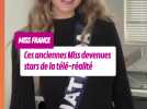 Ces candidates à Miss France devenues stars de la téléréalité