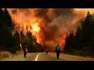 L'Argentine déclare l'état d'urgence en Patagonie en raison des incendies de forêt