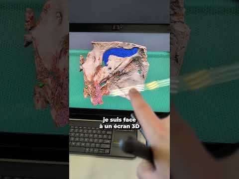 Une souris 3D #souris #souris3d #ces #shorts