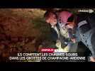Ils comptent les chauves-souris dans les grottes de Champagne-Ardenne