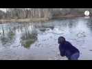 Près d'Angers, ces « givrés » se jettent dans une eau glaciale