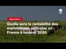 VIDEO. Quelle sera la rentabilité des exploitations agricoles en France à horizon 2050
