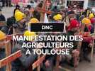 Les agriculteurs défilent dans le centre-ville de Toulouse