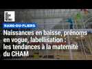 Naissances en baisse, prénoms en vogue, labellisation : les tendances à la maternité du CHAM