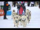 La Grande Odyssée Royal Canin, la course de chiens de traîneau la plus technique d'Europe.