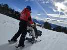 En immersion avec les pilotes de tandem fauteuil handiski (66)
