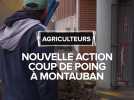 Crise agricole : Nouvelle action coup de poing des agriculteurs à Montauban